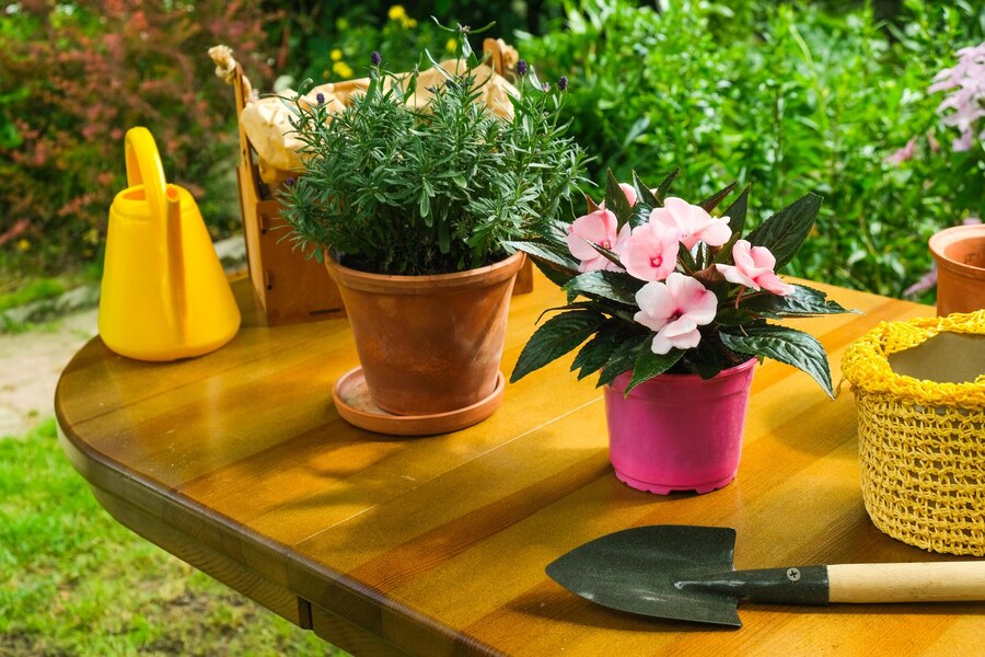 gardening-concept-potted-flowering-plants-items-planting-backyard-garden_651171-1200